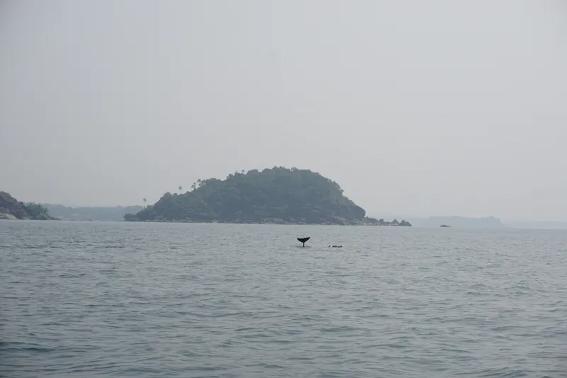 DSC03447