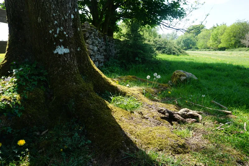 DSC03865