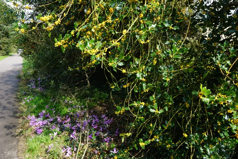 DSC04504