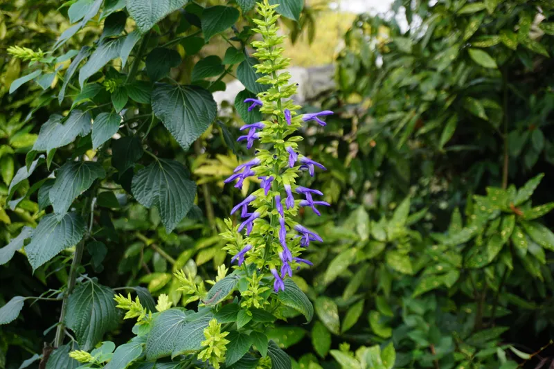 DSC04601