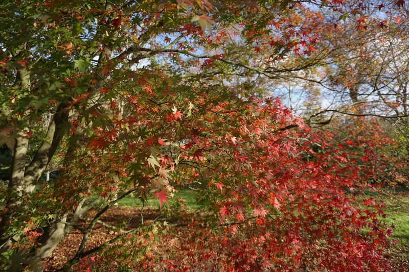 DSC04606