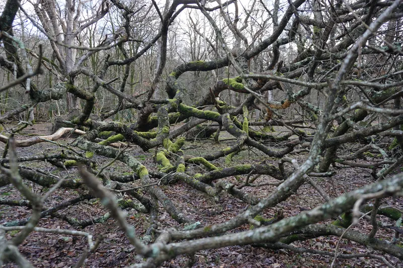 DSC05057