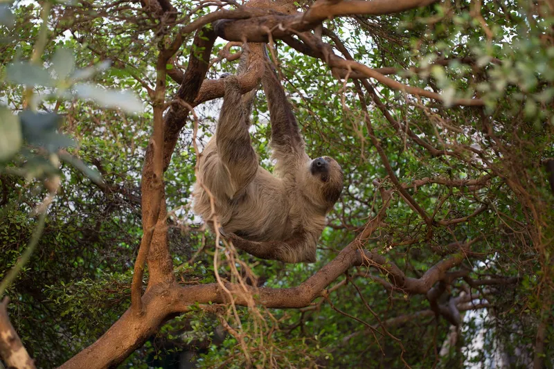 London Zoo